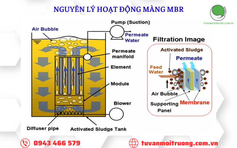 Nguyên lý hoạt động màng MBR