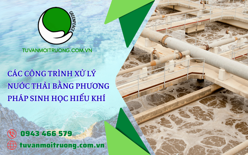 Hồ sinh học hiếu khí tự nhiên trong xử lý nước thải