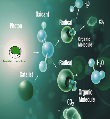 Đặc điểm của xử lý nước thải bằng phương pháp oxy hóa điện hóa