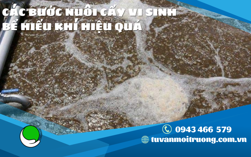 CAC BUOC NUOI CAY VI SINH BE HIEU KHI HIEU QUA